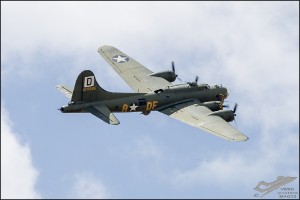 NZ6_1196